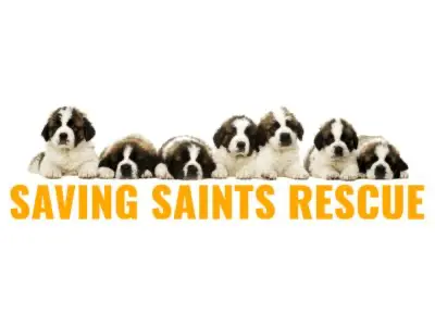 Saving Saints Rescue logo